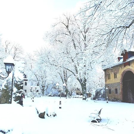 Jagdschloss Hotel Niederwald Rudesheim am Rhein Bagian luar foto